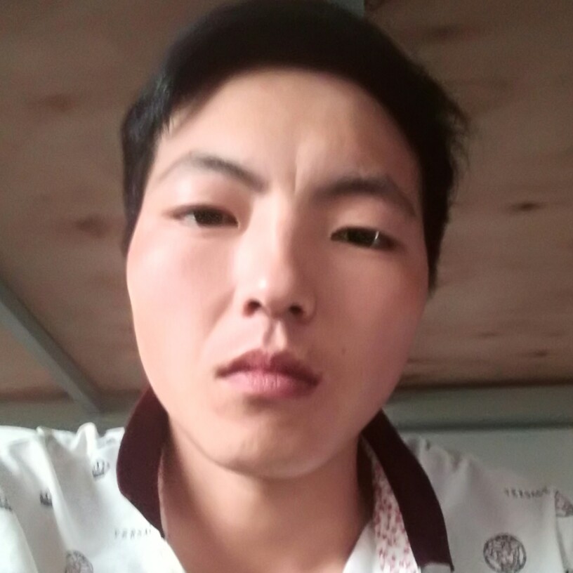 生动和便当的照片