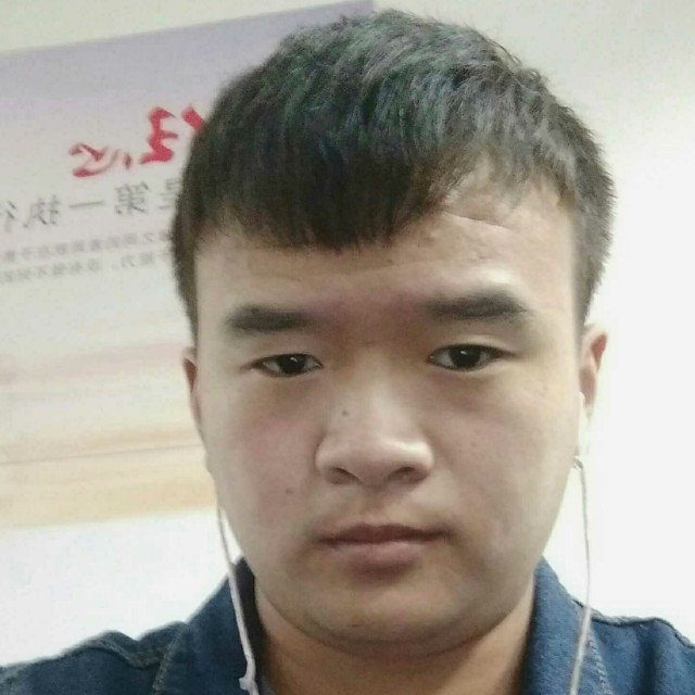 着急白猫的照片