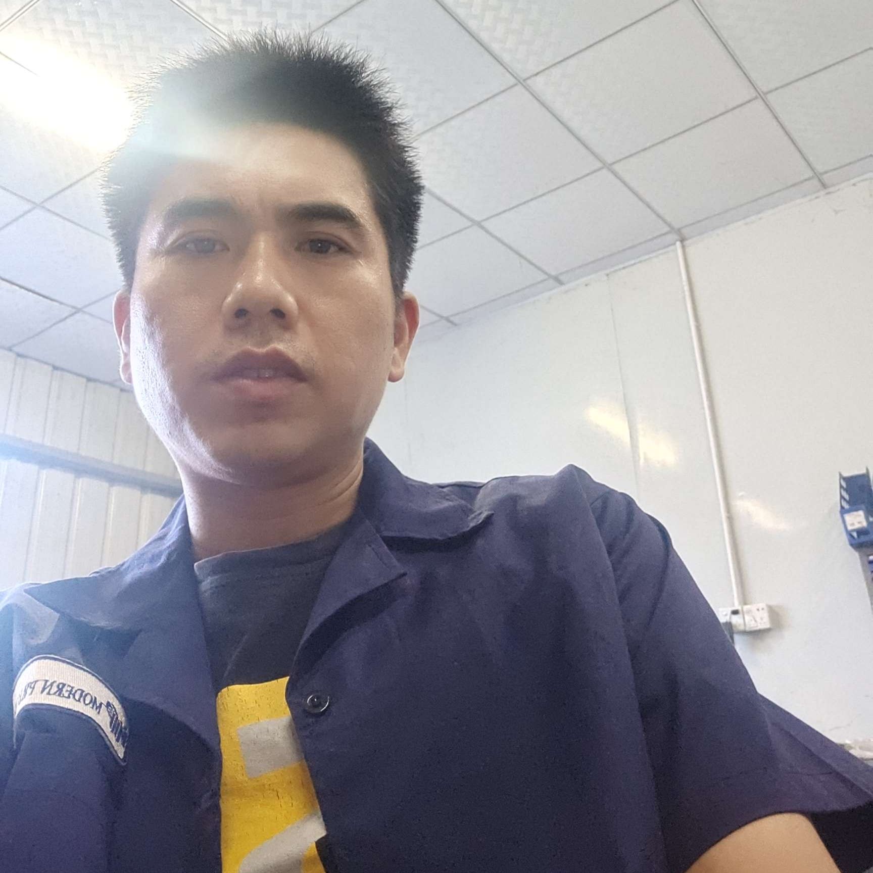 落后停止灰狼的照片