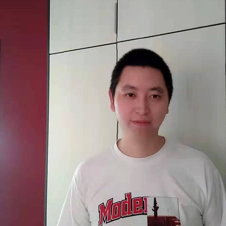 迷路的老虎的照片