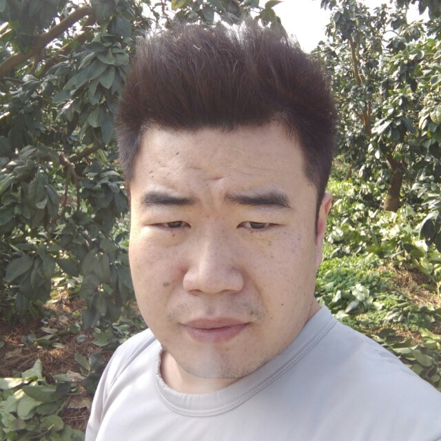 朴实小鸭子的照片