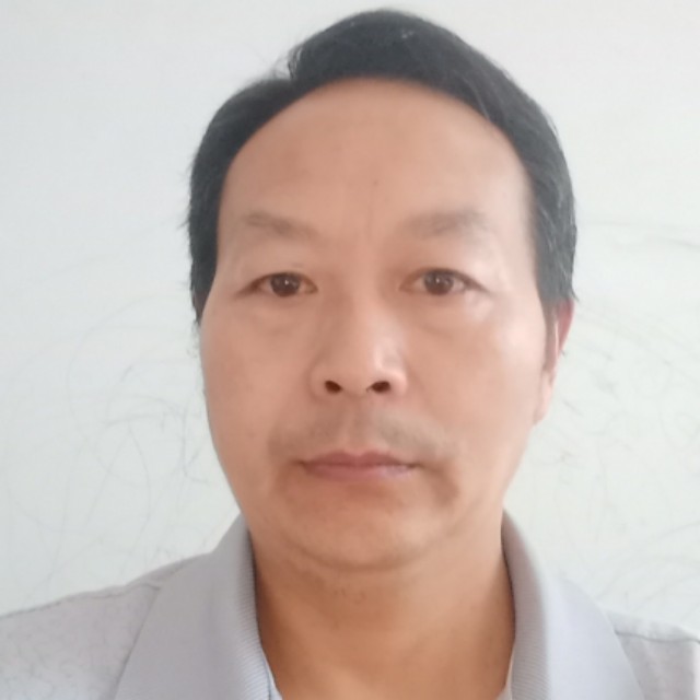 忧郁打含羞草的照片