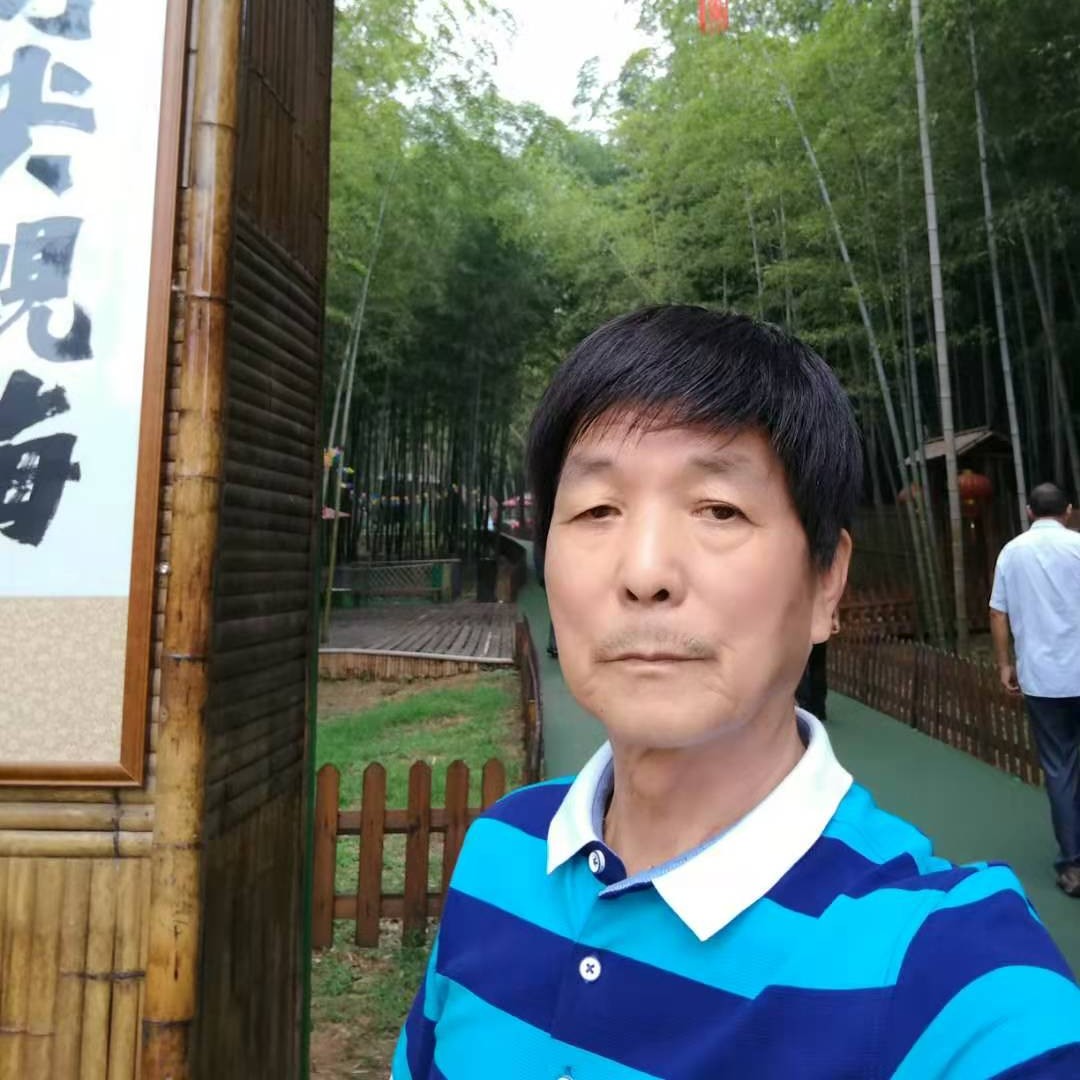 哈密瓜等待碧蓝的照片