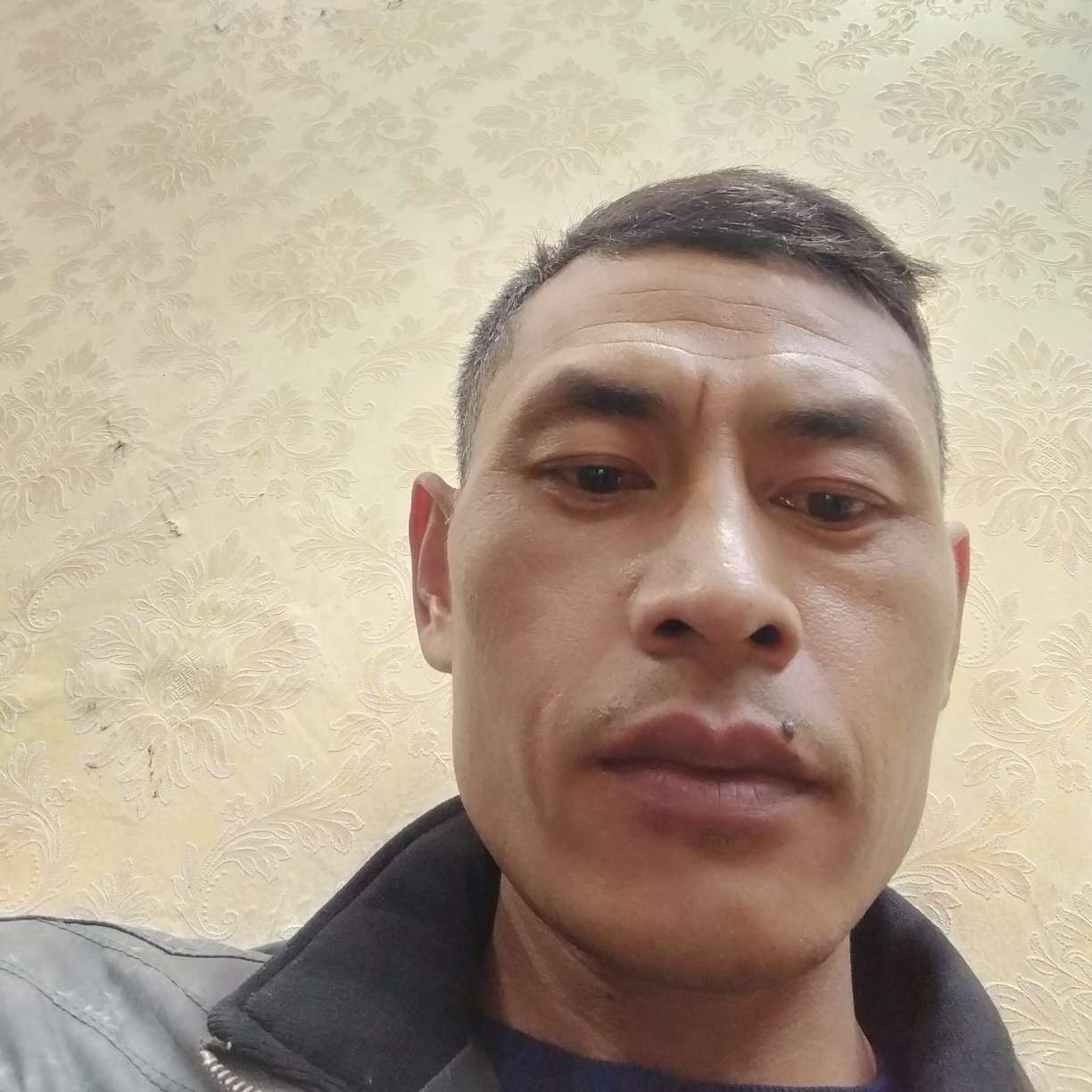 糊涂放弃小兔子的照片