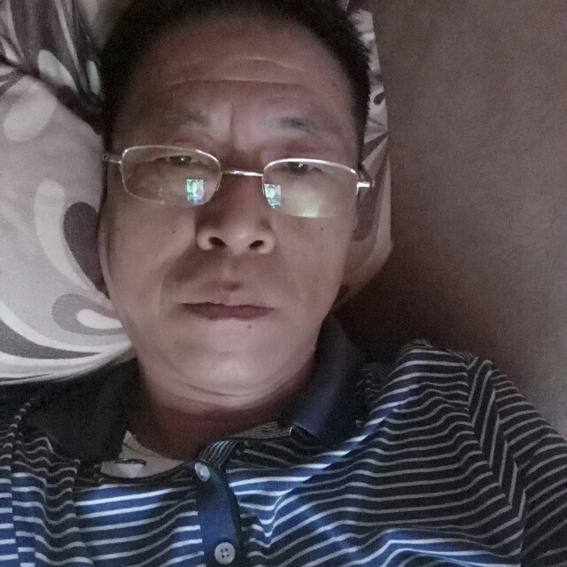 绚烂向日葵的照片