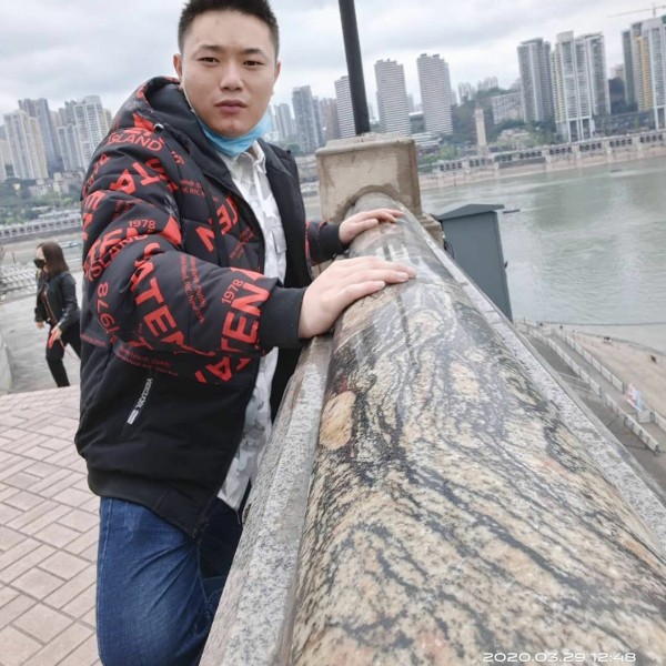 背后回首玫瑰的照片