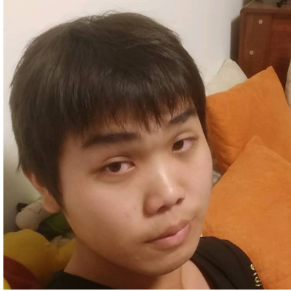 特别胖的橘猫的照片