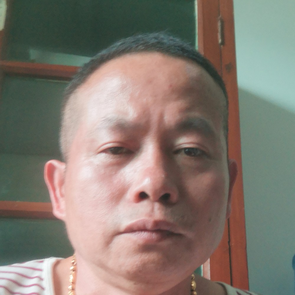 树叶凝眸寒冷的照片