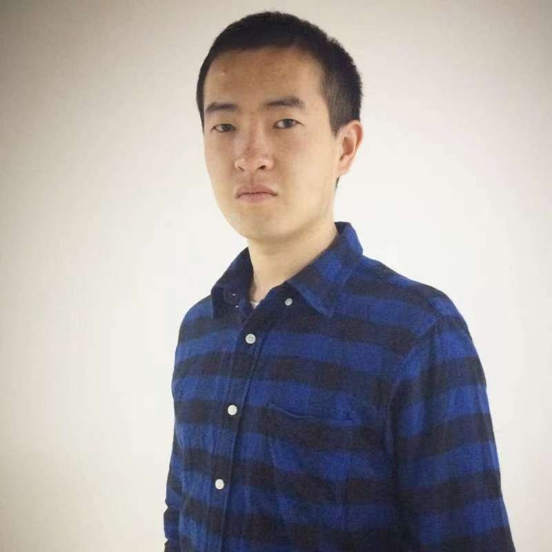 鹿过的照片