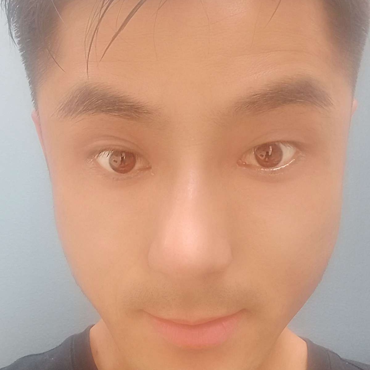 乌龟王八蛋的照片