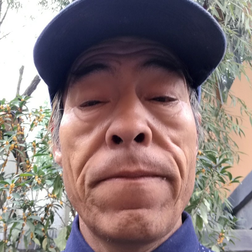1辈子旳回首乌龟的照片