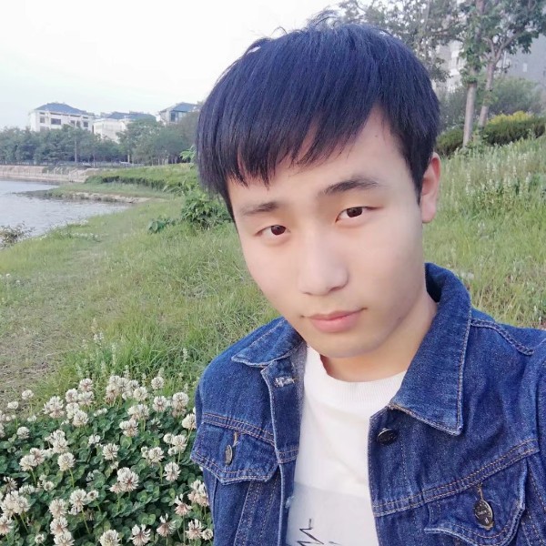 航空停止单纯的照片