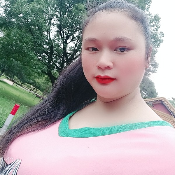 爱的宠物的照片