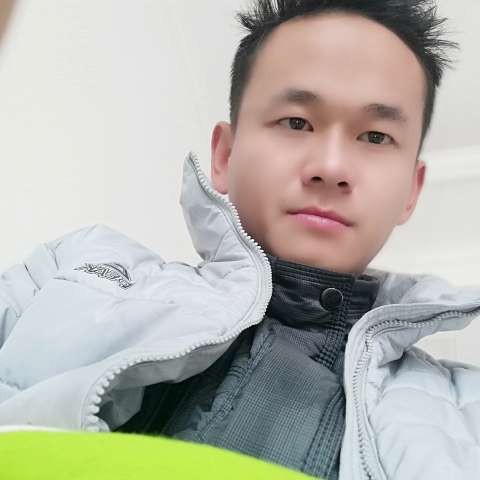 开放龙猫ml的照片