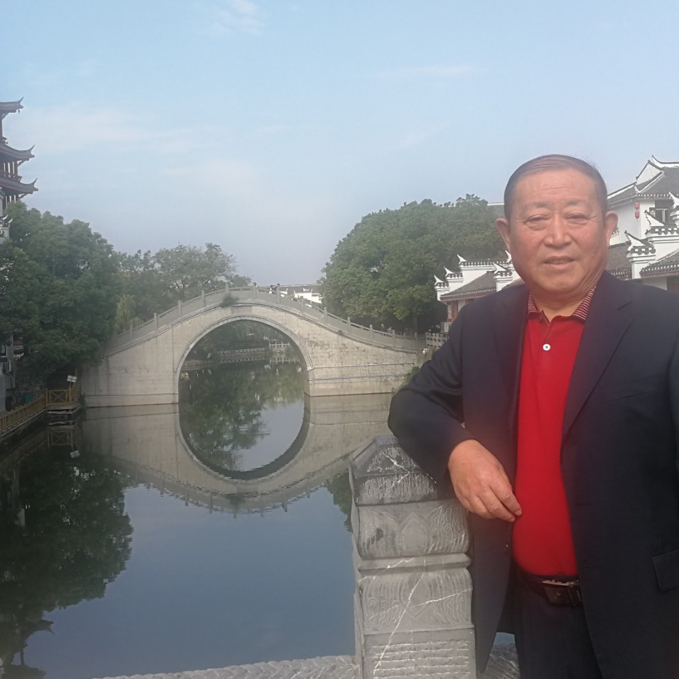 树叶平常的照片