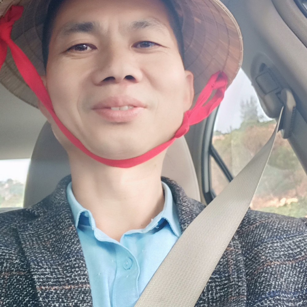 绿色吋代的照片