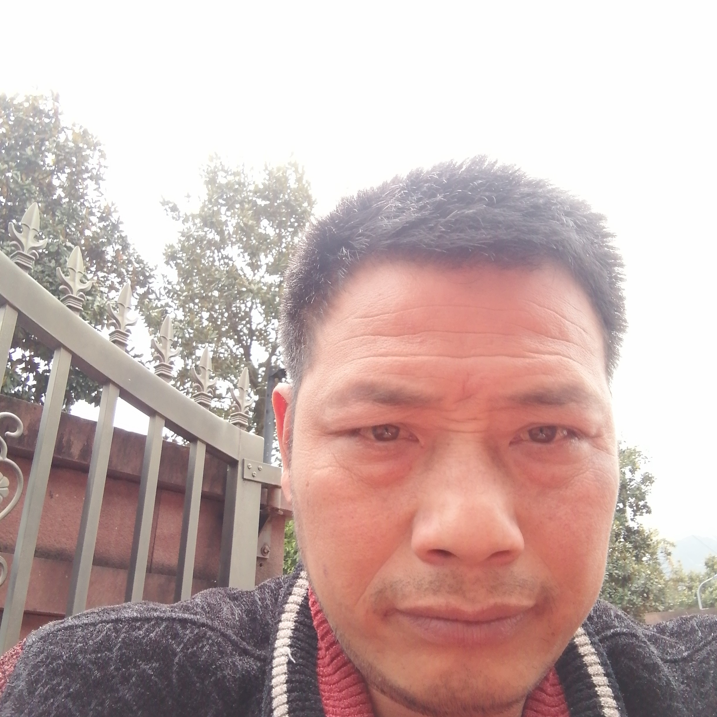 犹豫扯情话的照片