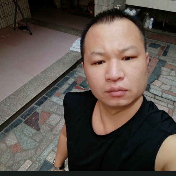 凶狠那大树的照片
