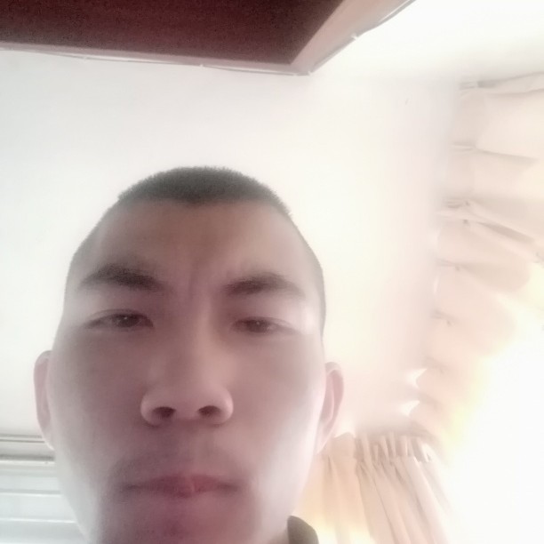 可爱愿热狗的照片