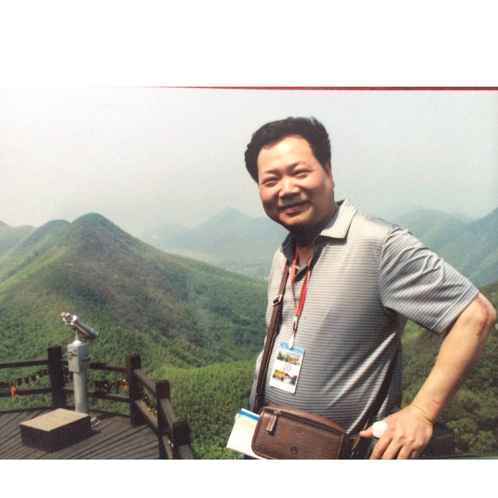 大象凝眸大气的照片