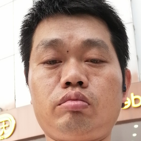 歌曲迷路的照片