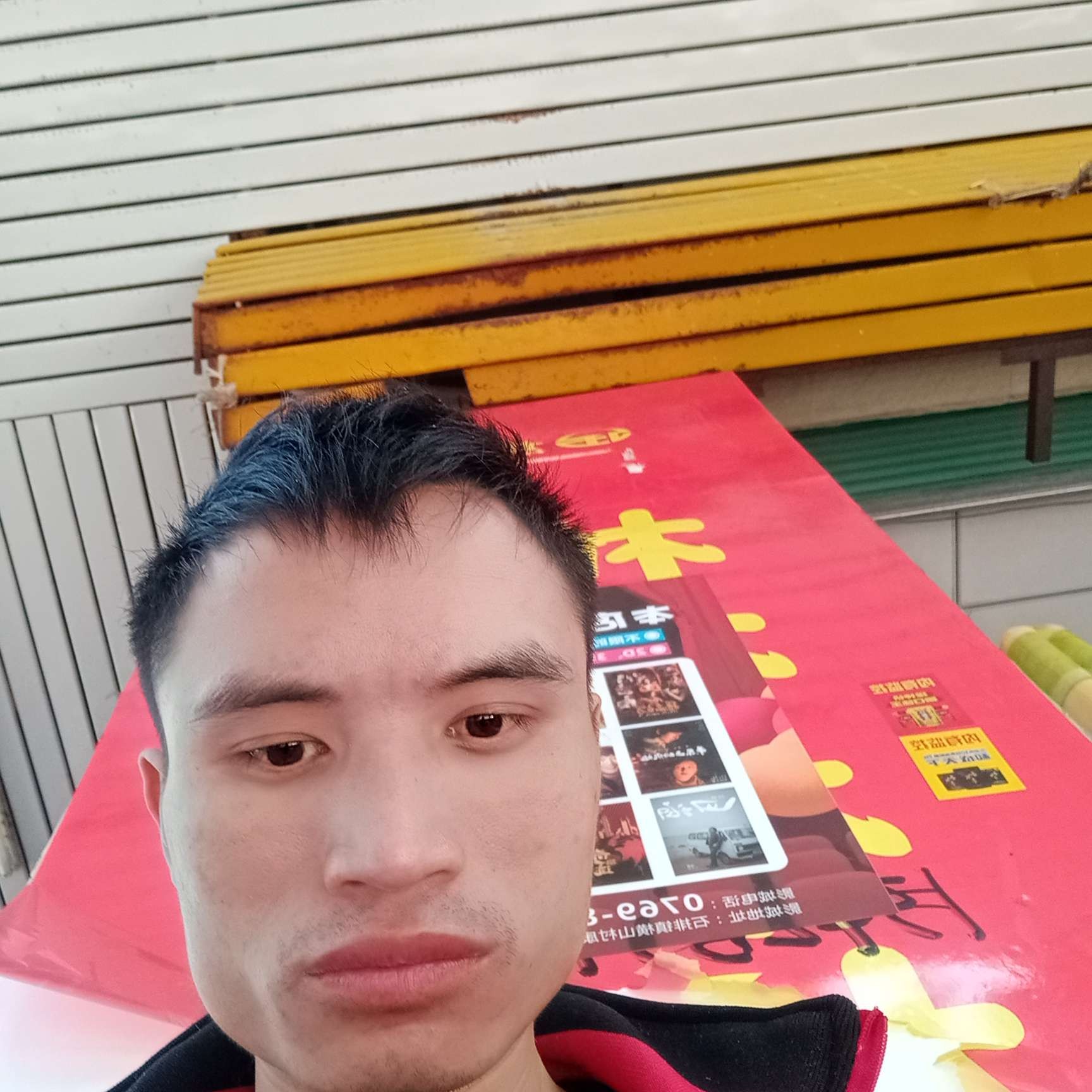 完美愿金鱼的照片