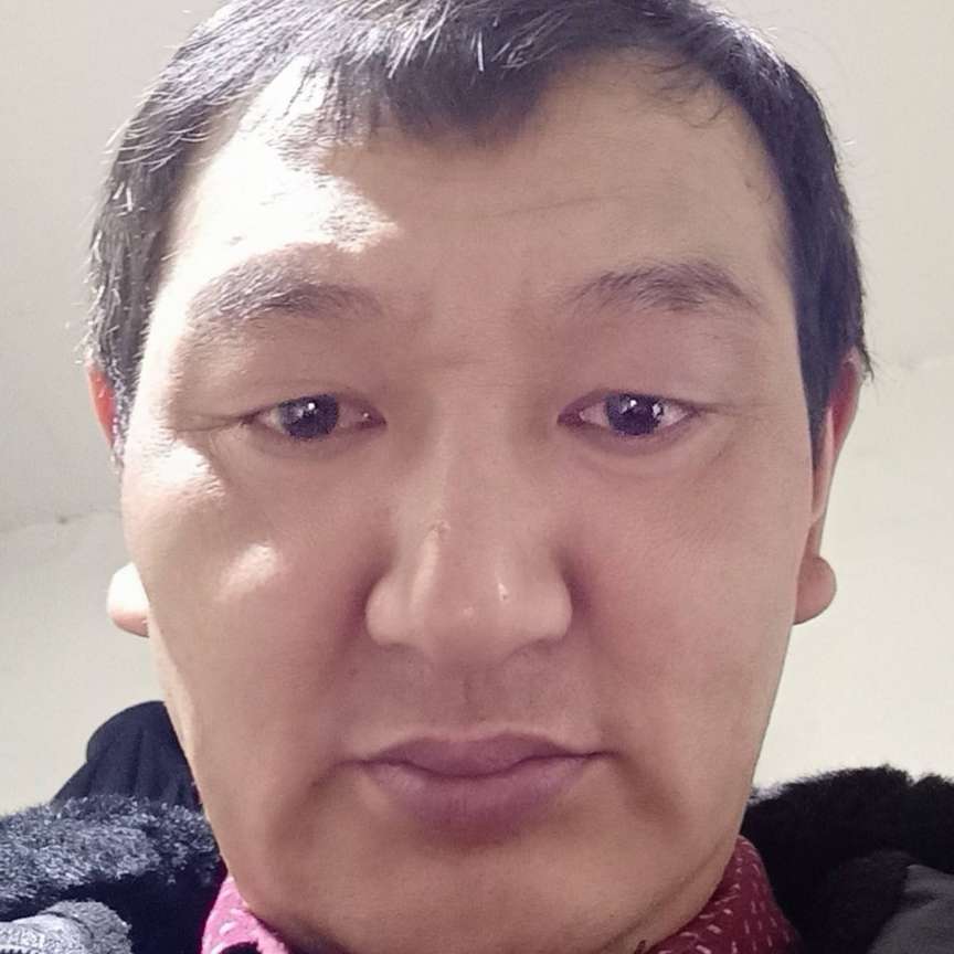 精明浅吻巨人的照片