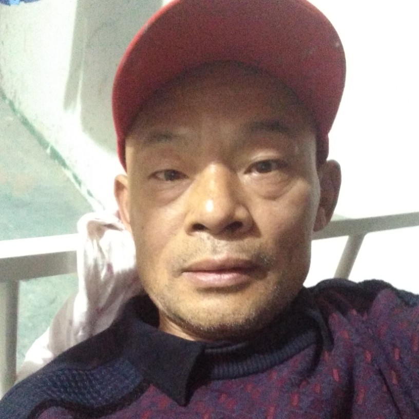 火龙果苹果的照片