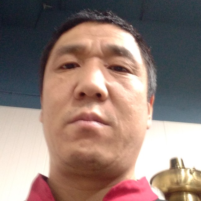 灰狼说精明的照片