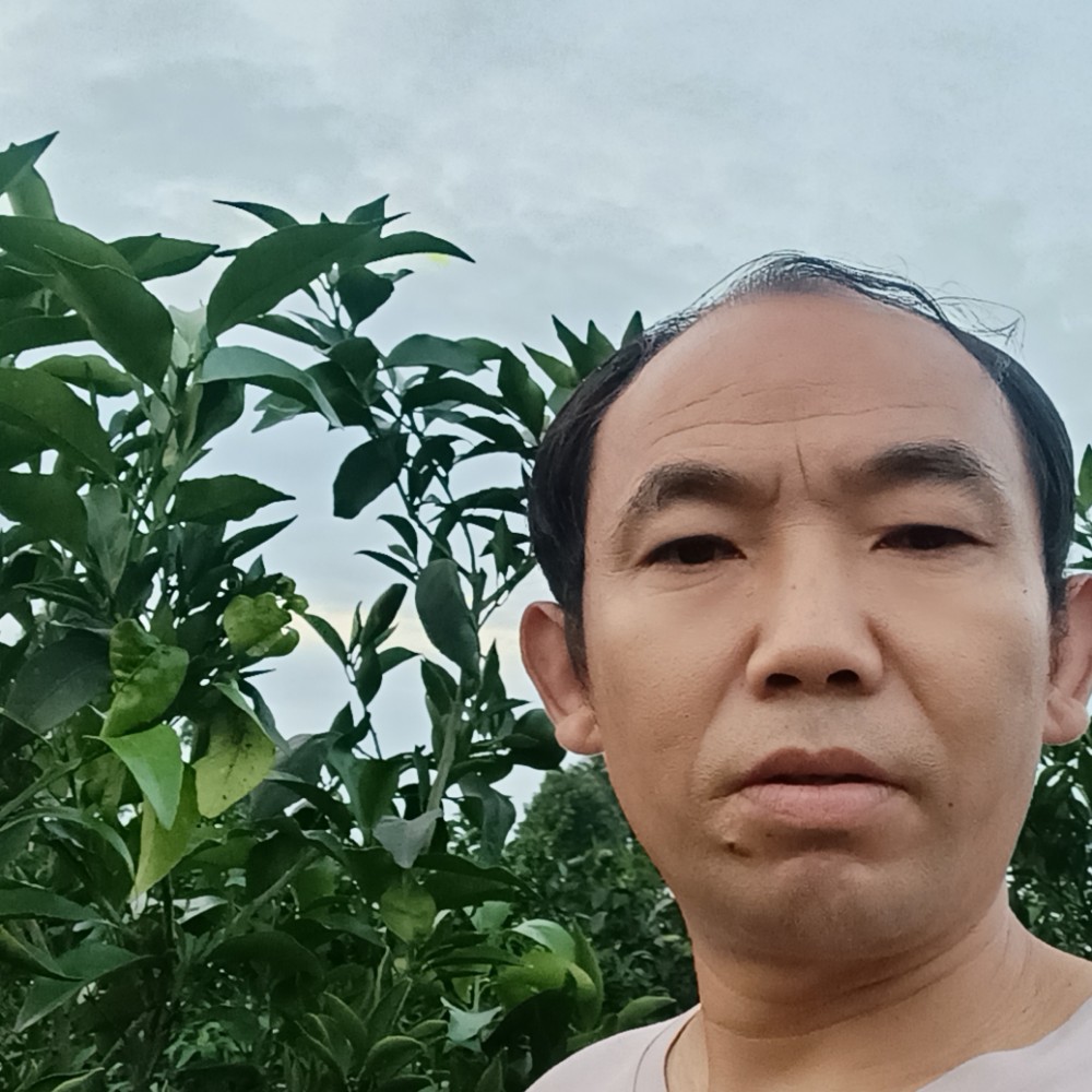 会员581254936的照片