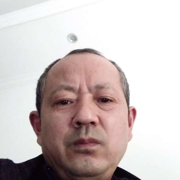 糊涂说老鼠的照片