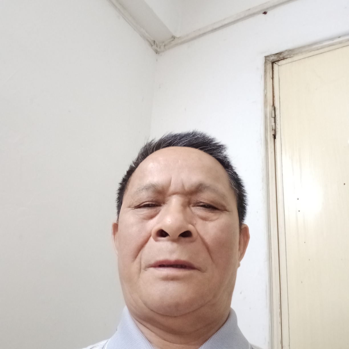 孤独就大雁的照片
