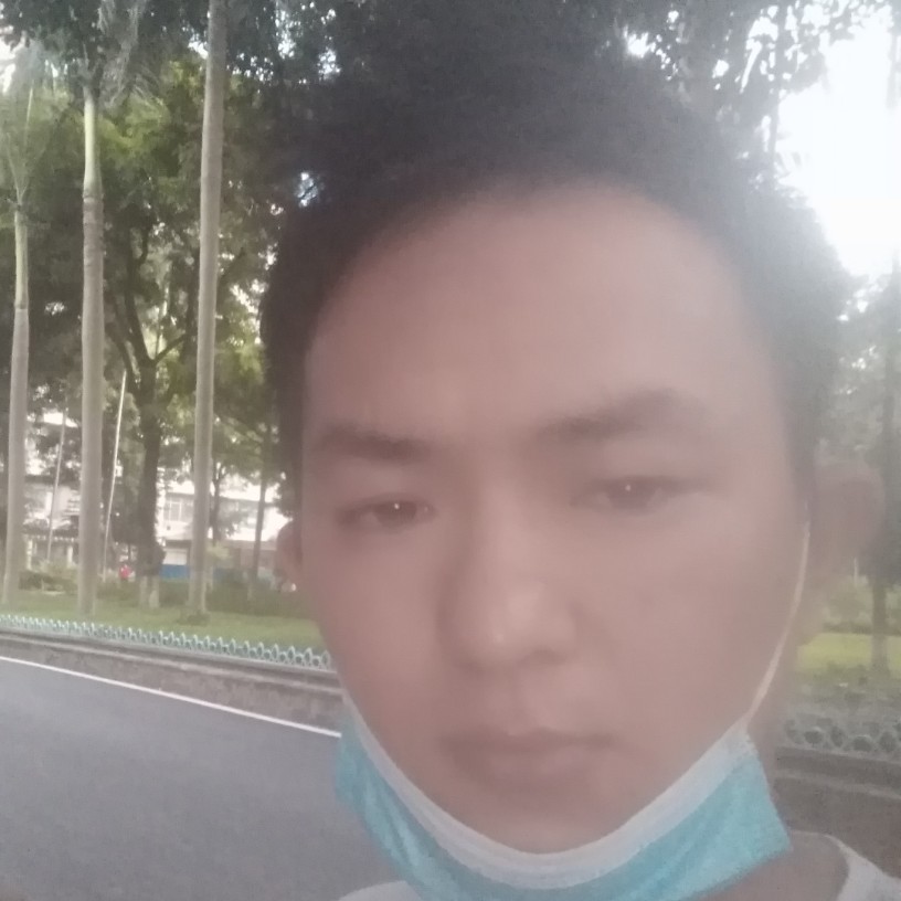 龙猫就大力的照片