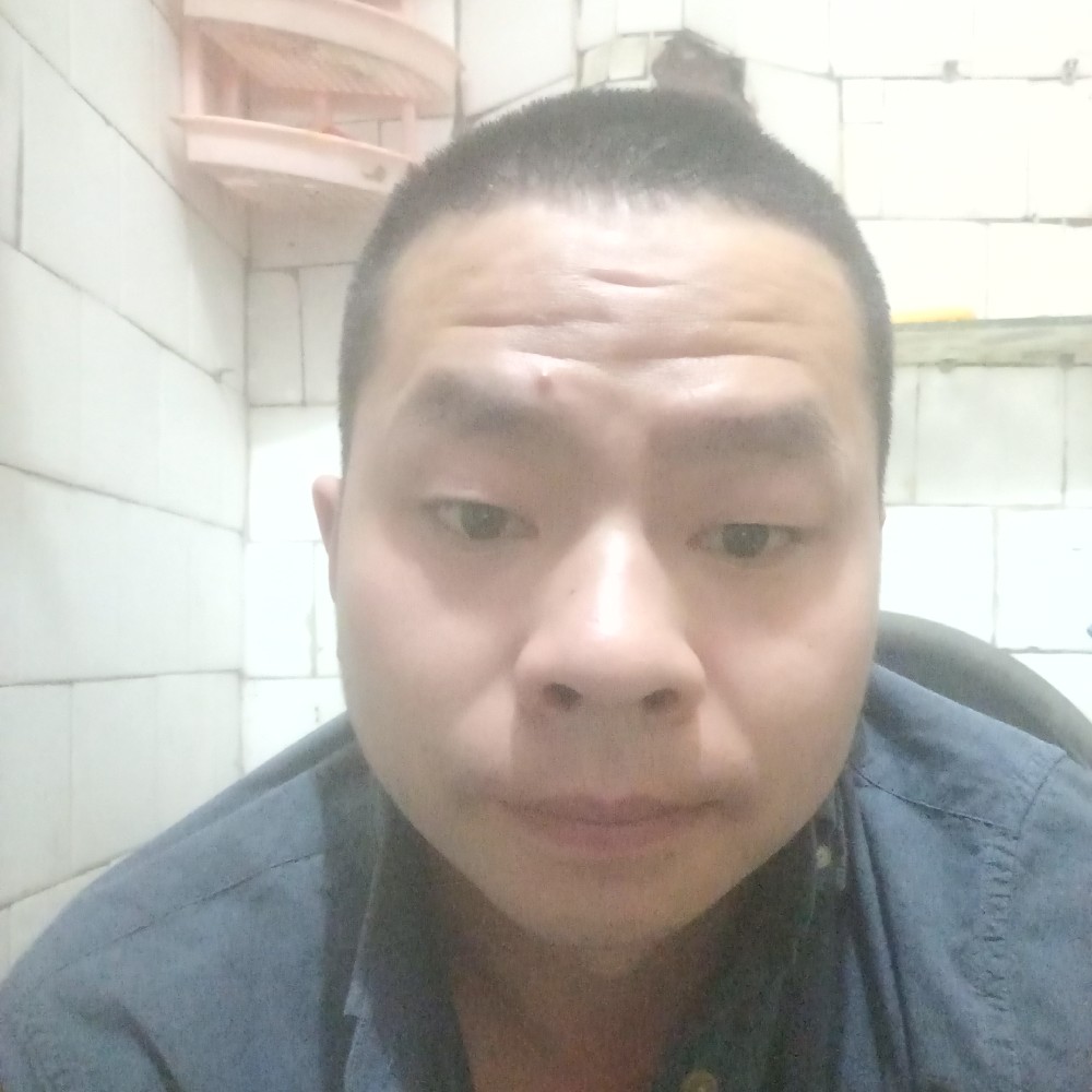 落单独燕的照片