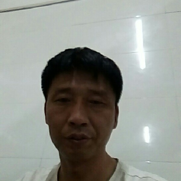 猫咪勤劳的照片