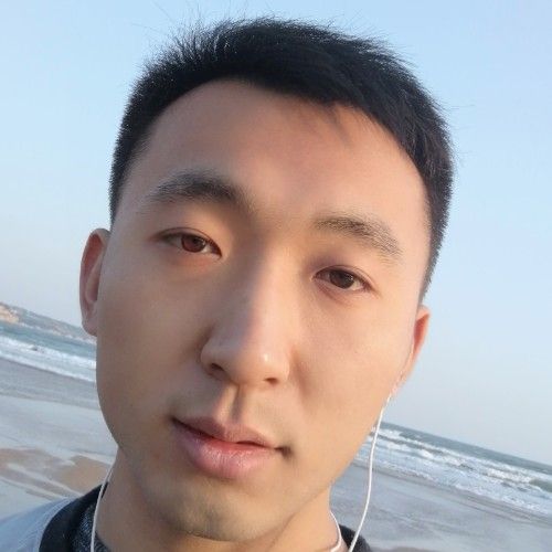 落花轻舞的照片