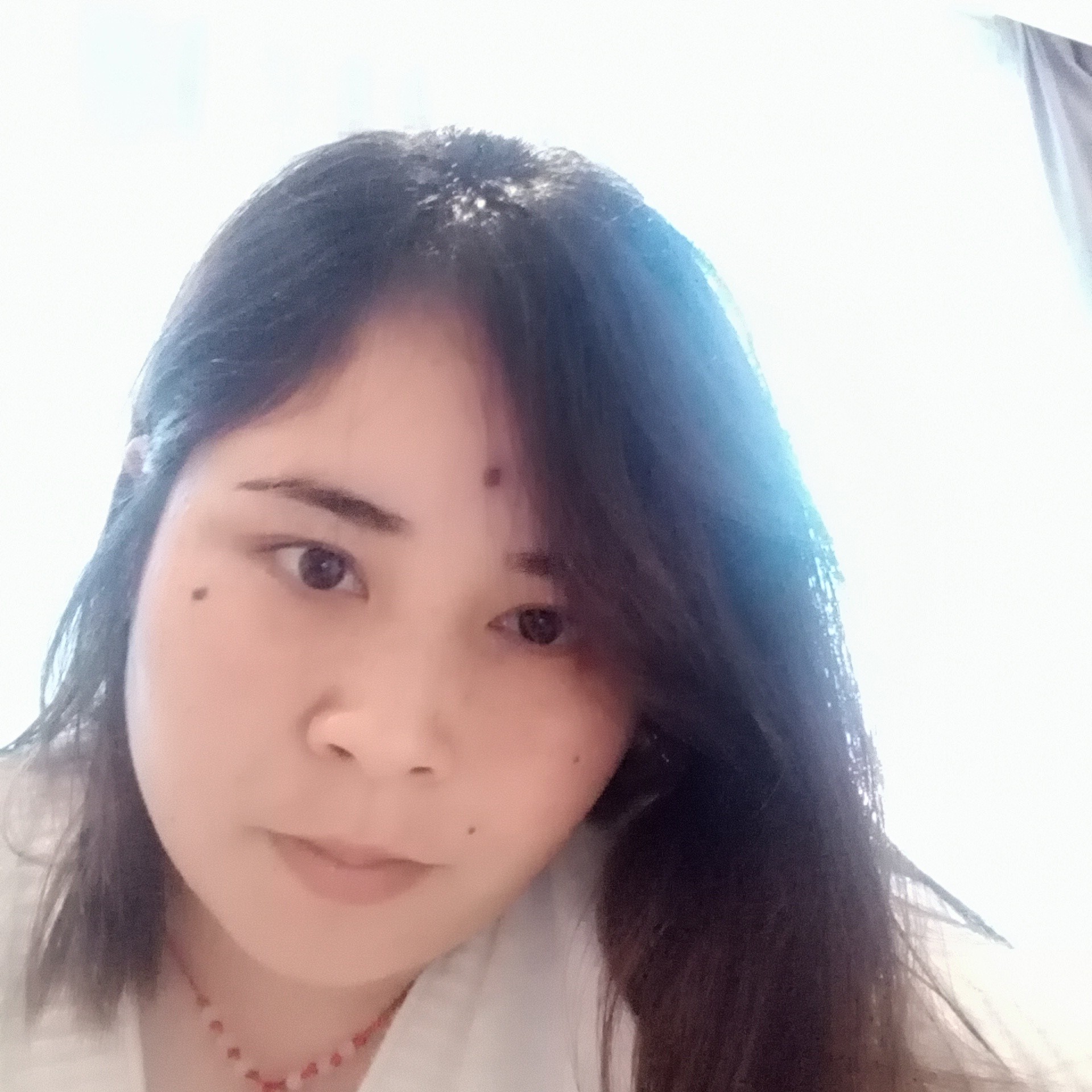 如意拾忆小蜜蜂的照片