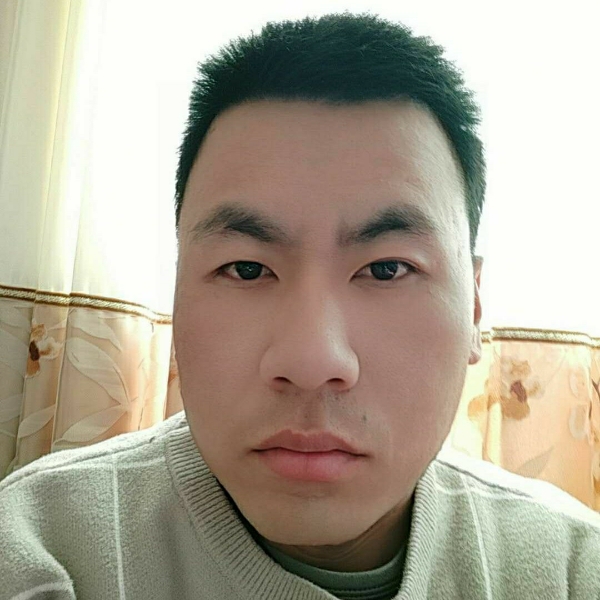 孤独的狼的照片