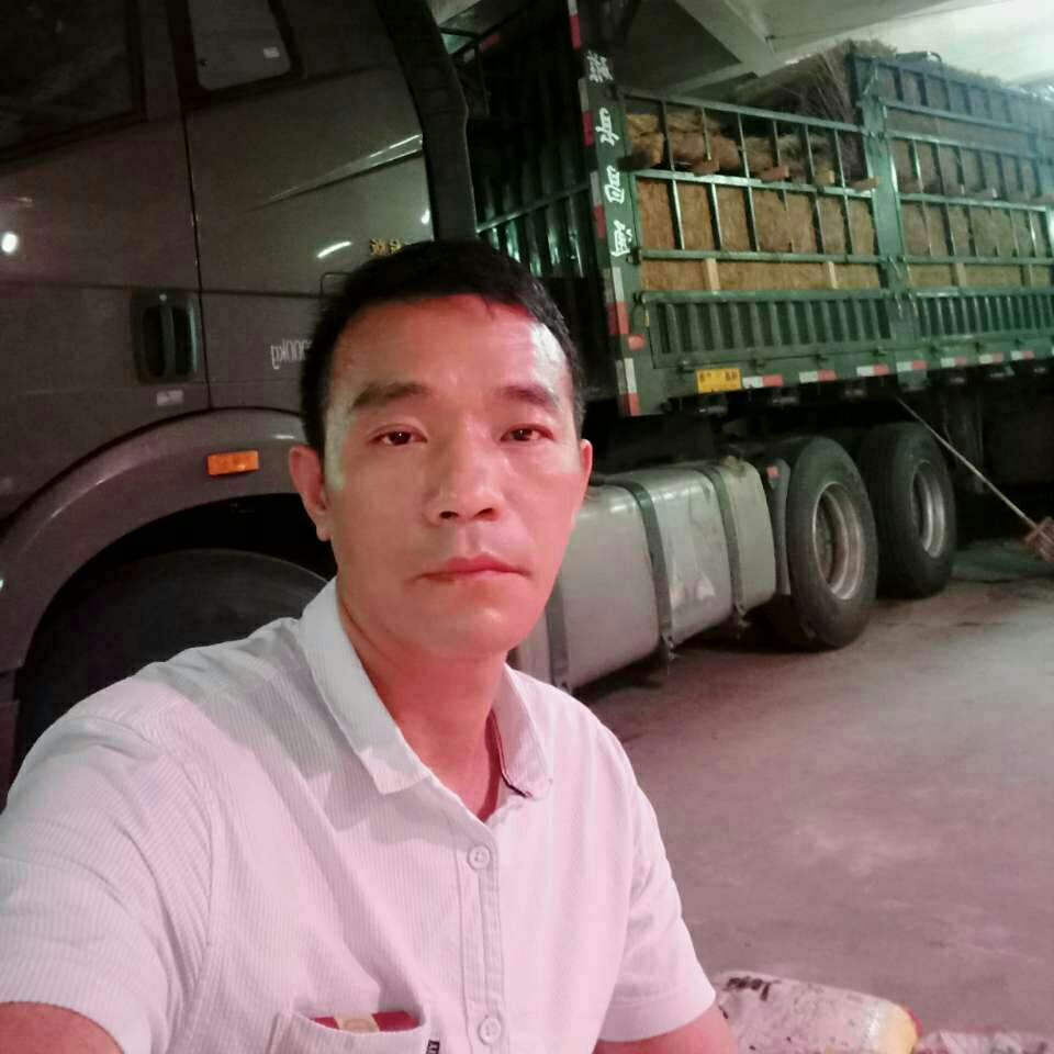 天真泪了树叶的照片