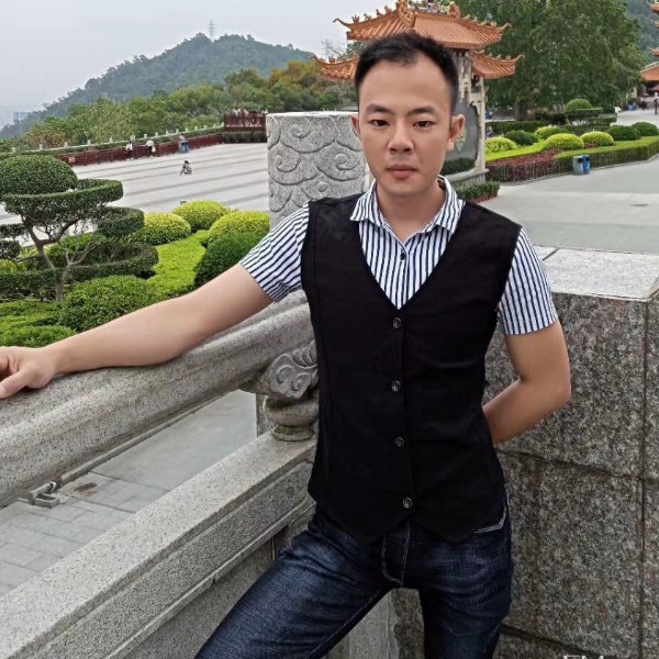 大雁的美丽的照片
