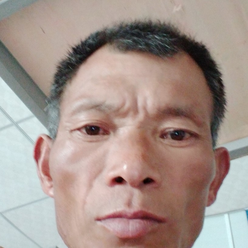 虚拟我小刺猬的照片