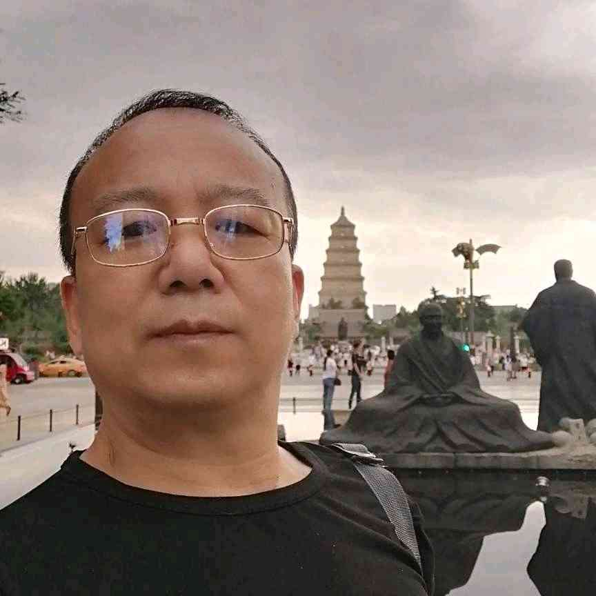 哭泣踢灰狼的照片