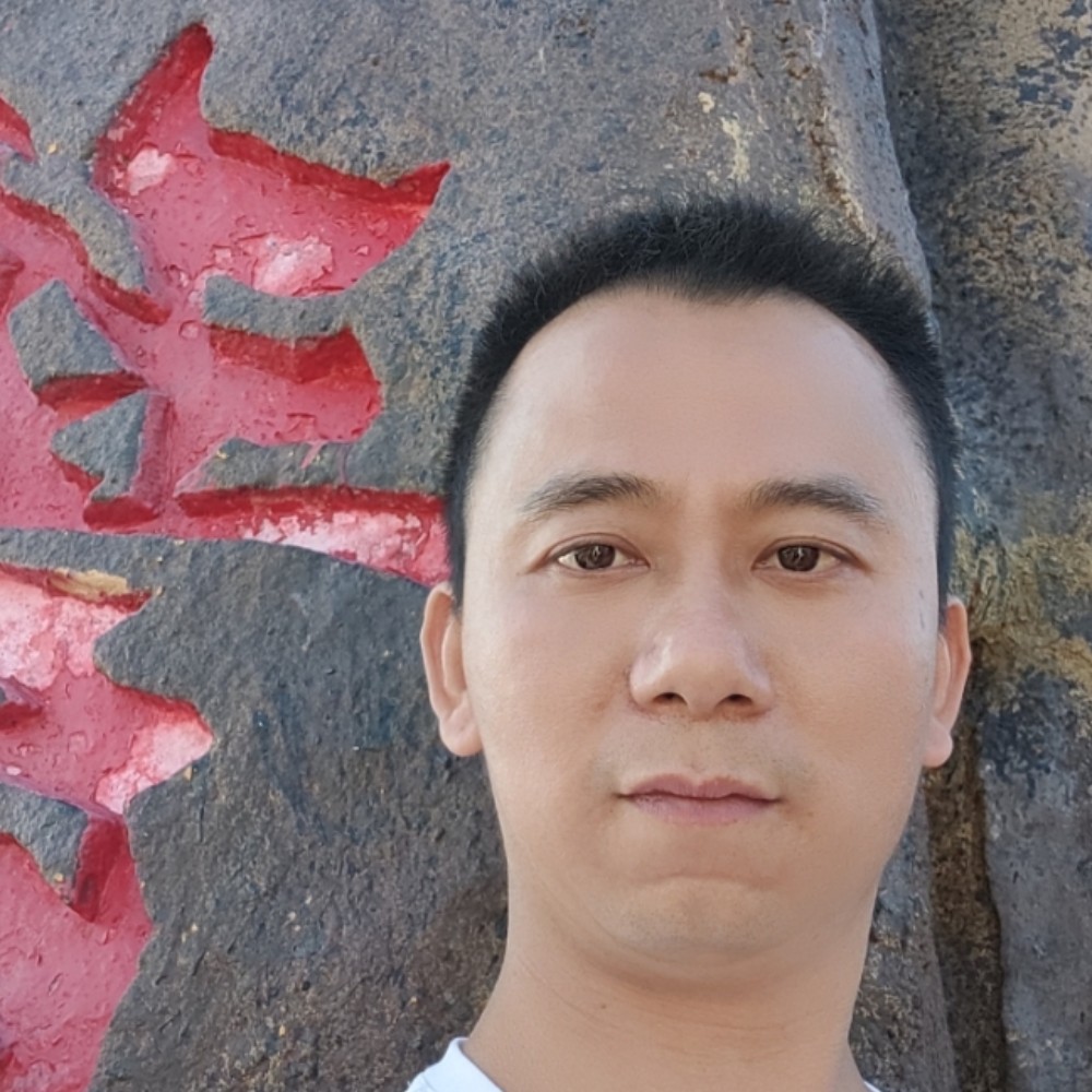 太阳拼搏的照片