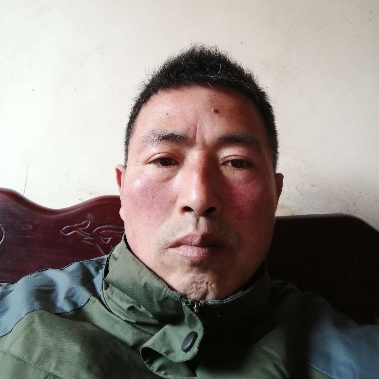 鸭子蹁跹如意的照片