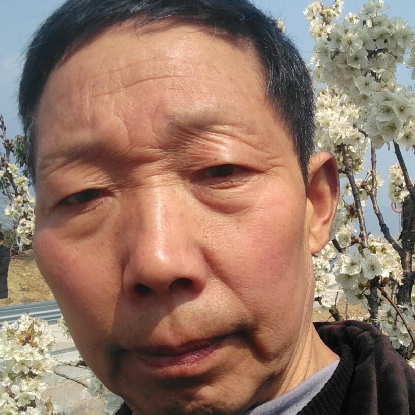 土密蜂的照片