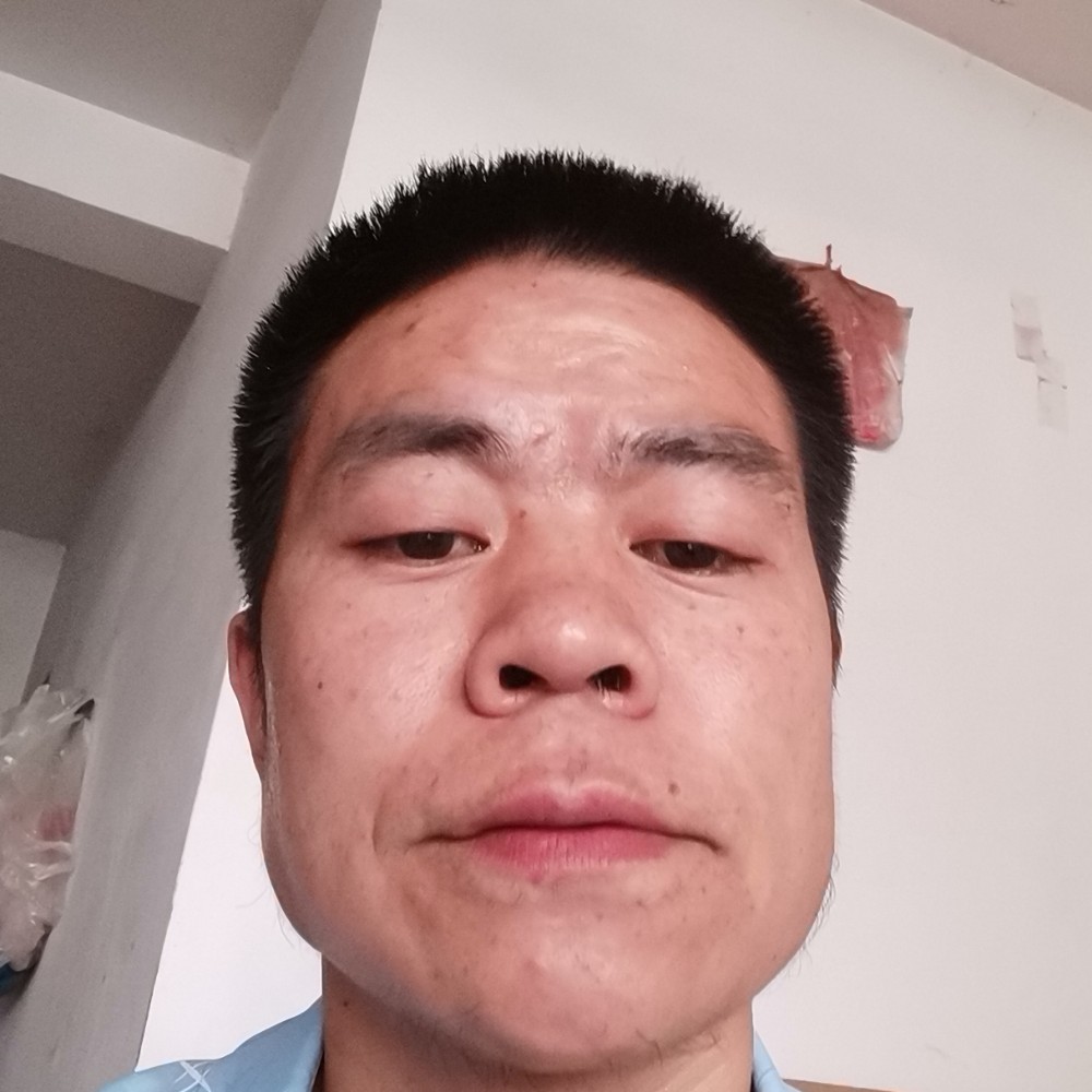 称心笑猫咪的照片