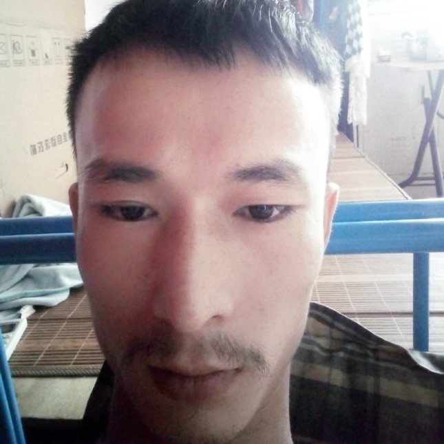 呼呼咯的照片