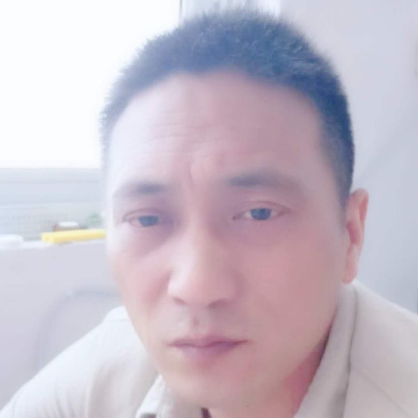 向上的向日葵的照片