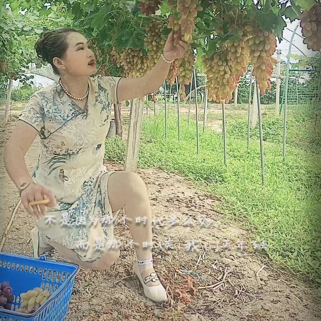 ☞港湾☜的照片