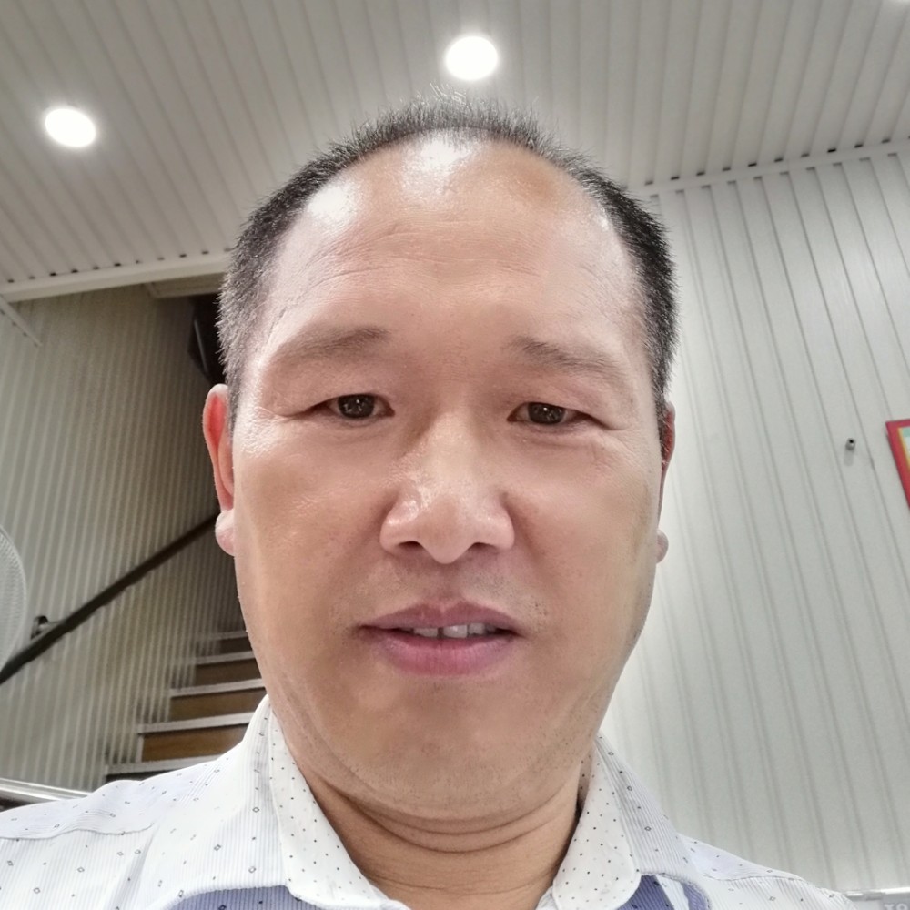 老虎狂野的照片
